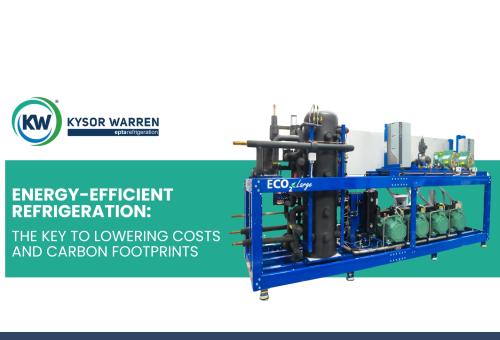 Energy-Efficient Refrigeration: The Key to Lowering Costs and Carbon Footprints