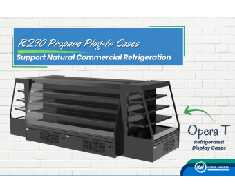 R290 Propane Plug In Cases